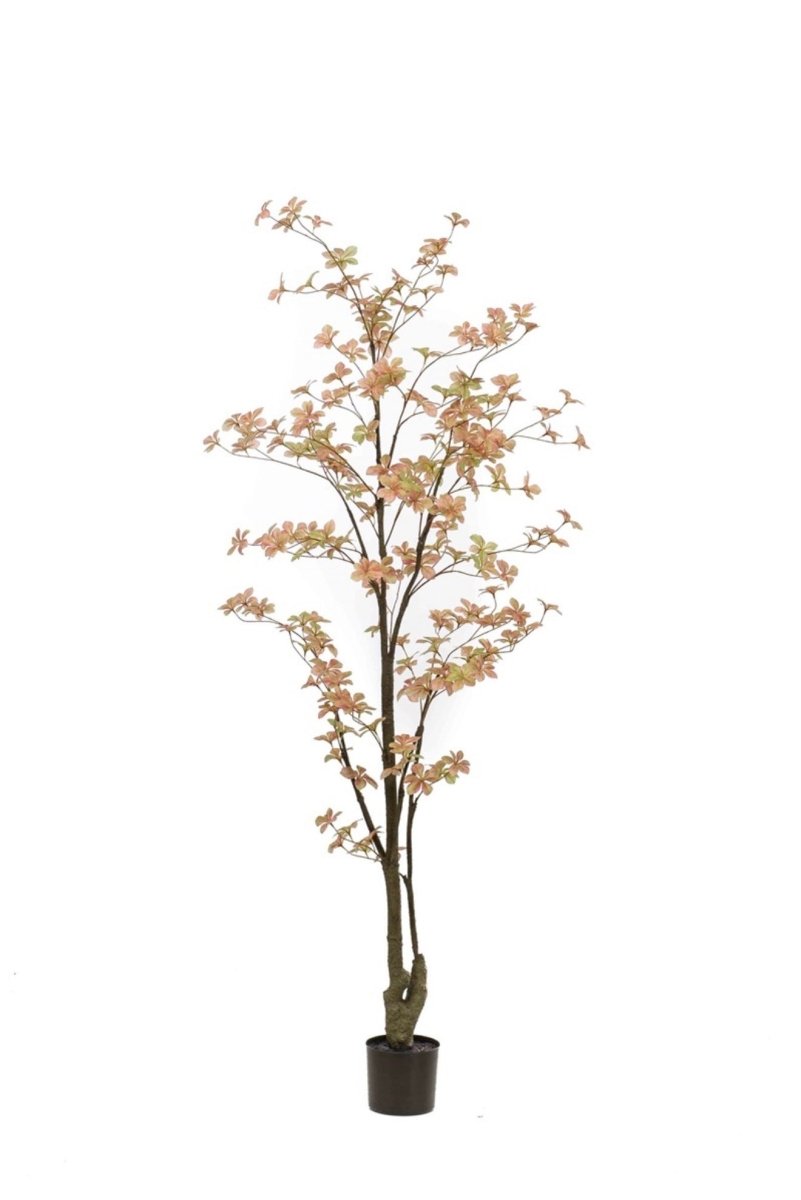 Tropaeolum plant peach/green 185cm