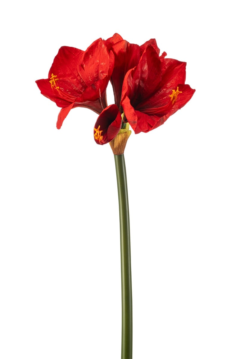 Amaryllis kunstbloem rood real touch