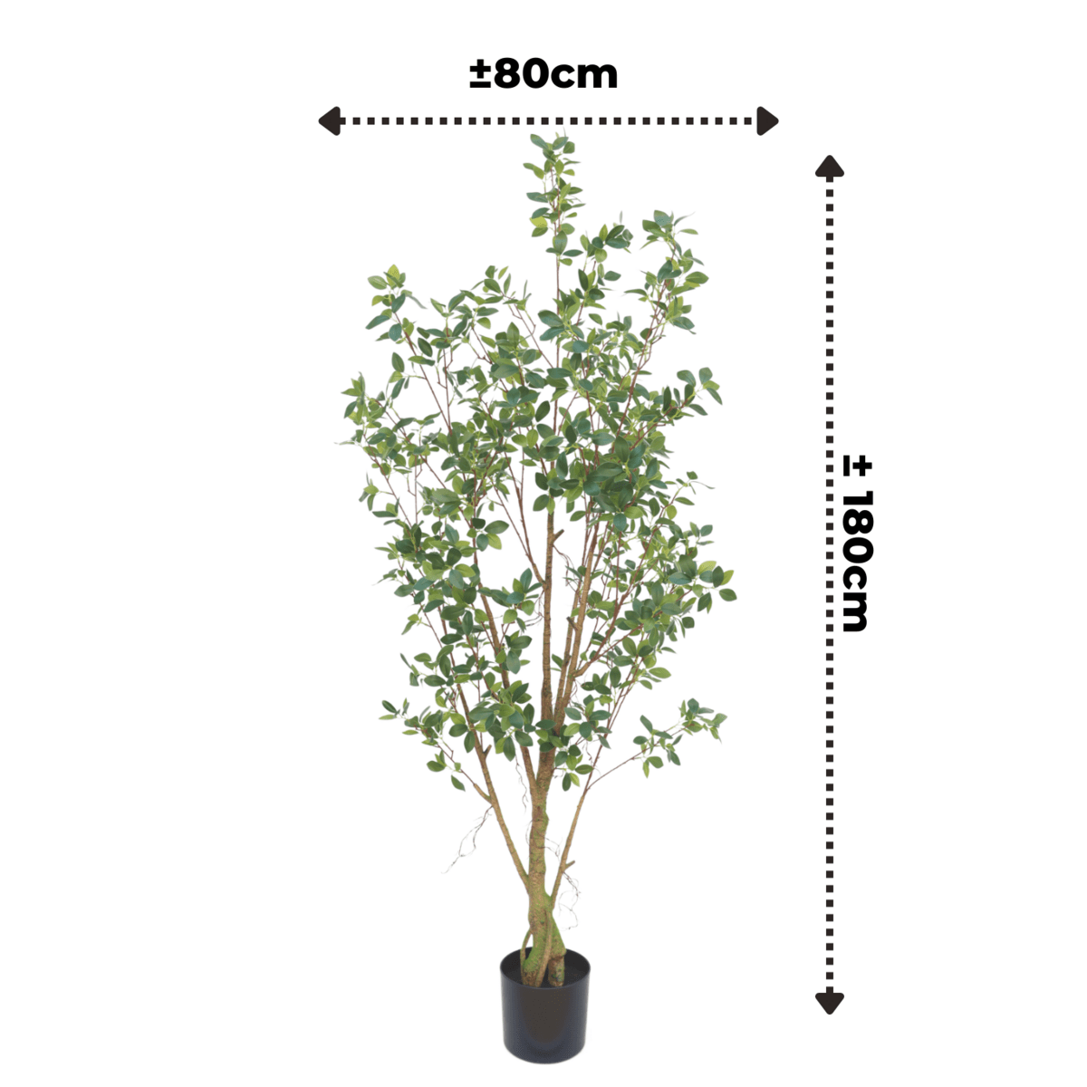 Ficus kunstplant van 180 cm hoog met slanke bladeren, ideaal voor het toevoegen van karakter aan je interieur, zoals in een woonkamer of kantoor.