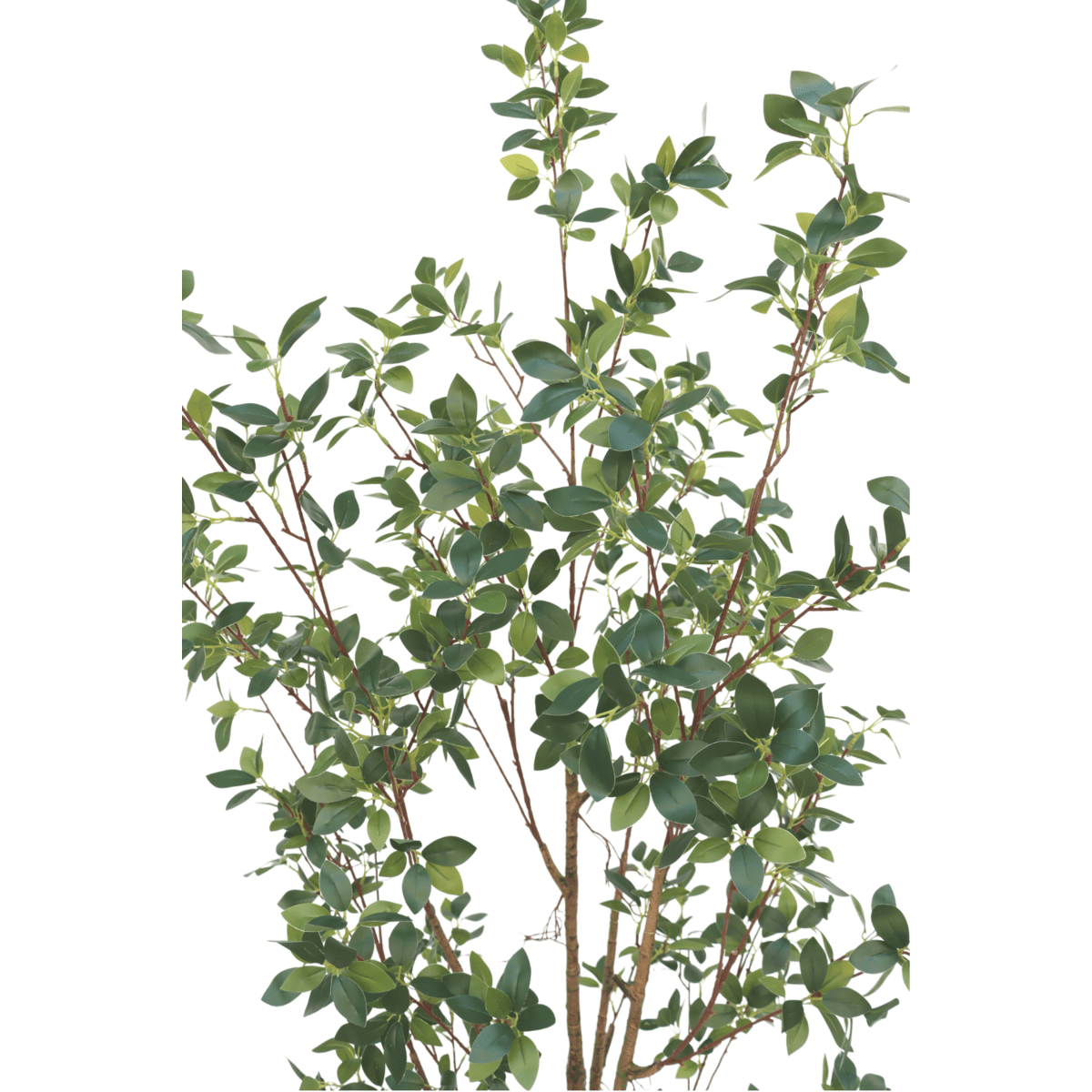 Ficus kunstplant van 180 cm hoog met slanke bladeren, ideaal voor het toevoegen van karakter aan je interieur, zoals in een woonkamer of kantoor.