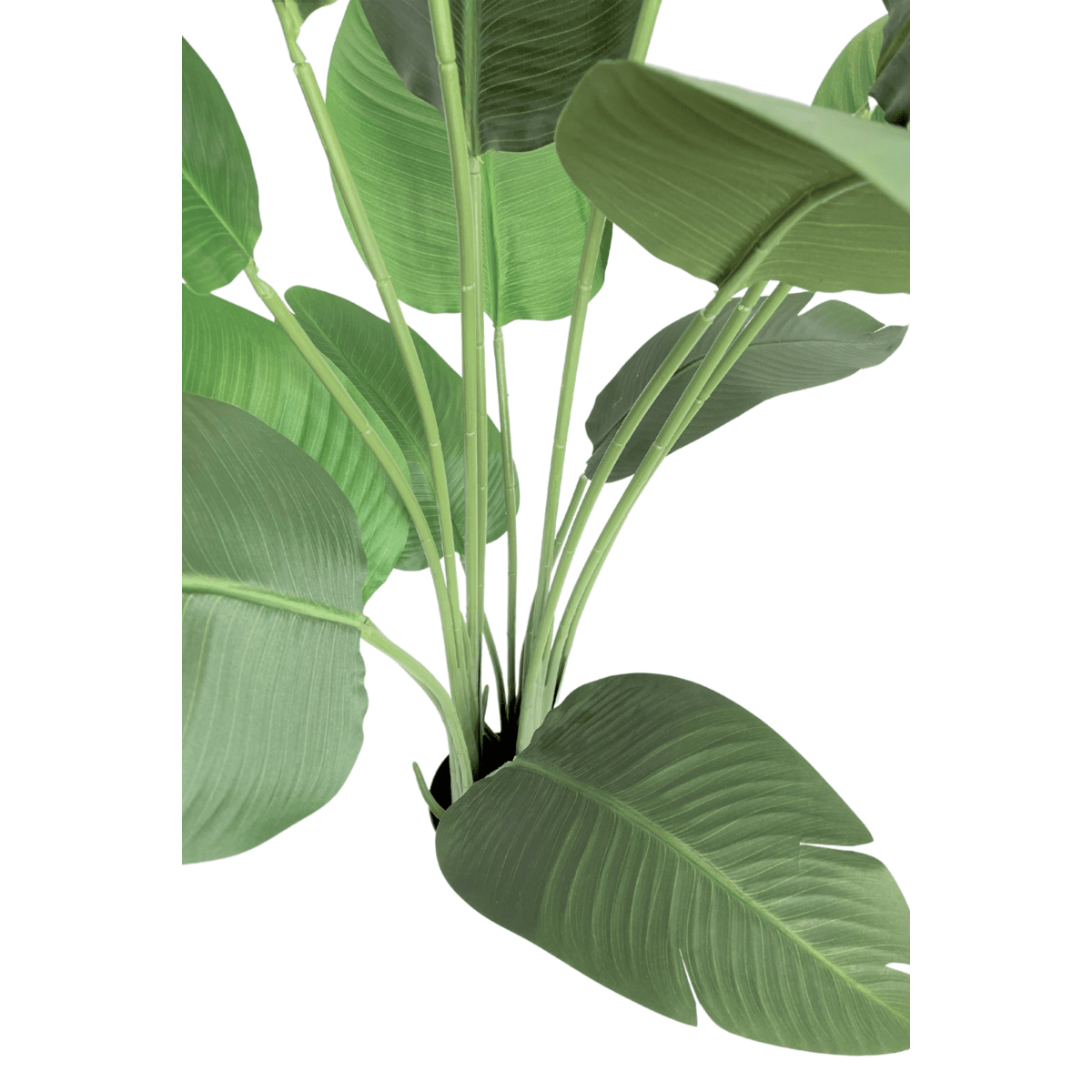 Strelitzia kunstplant van 160 cm met grote bladeren, perfect voor zowel zon- als schaduwrijke plekken in je woonkamer of kantoor.