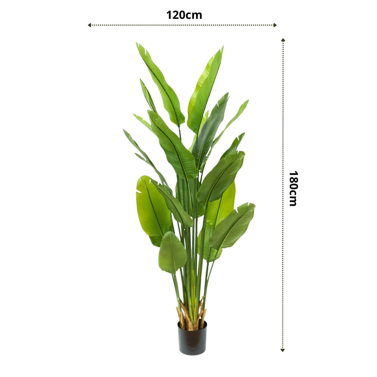 Strelitzia kunstplant van 180 cm met grote bladeren en een realistische stam, perfect voor grote ruimtes zoals een woonkamer of kantoor.