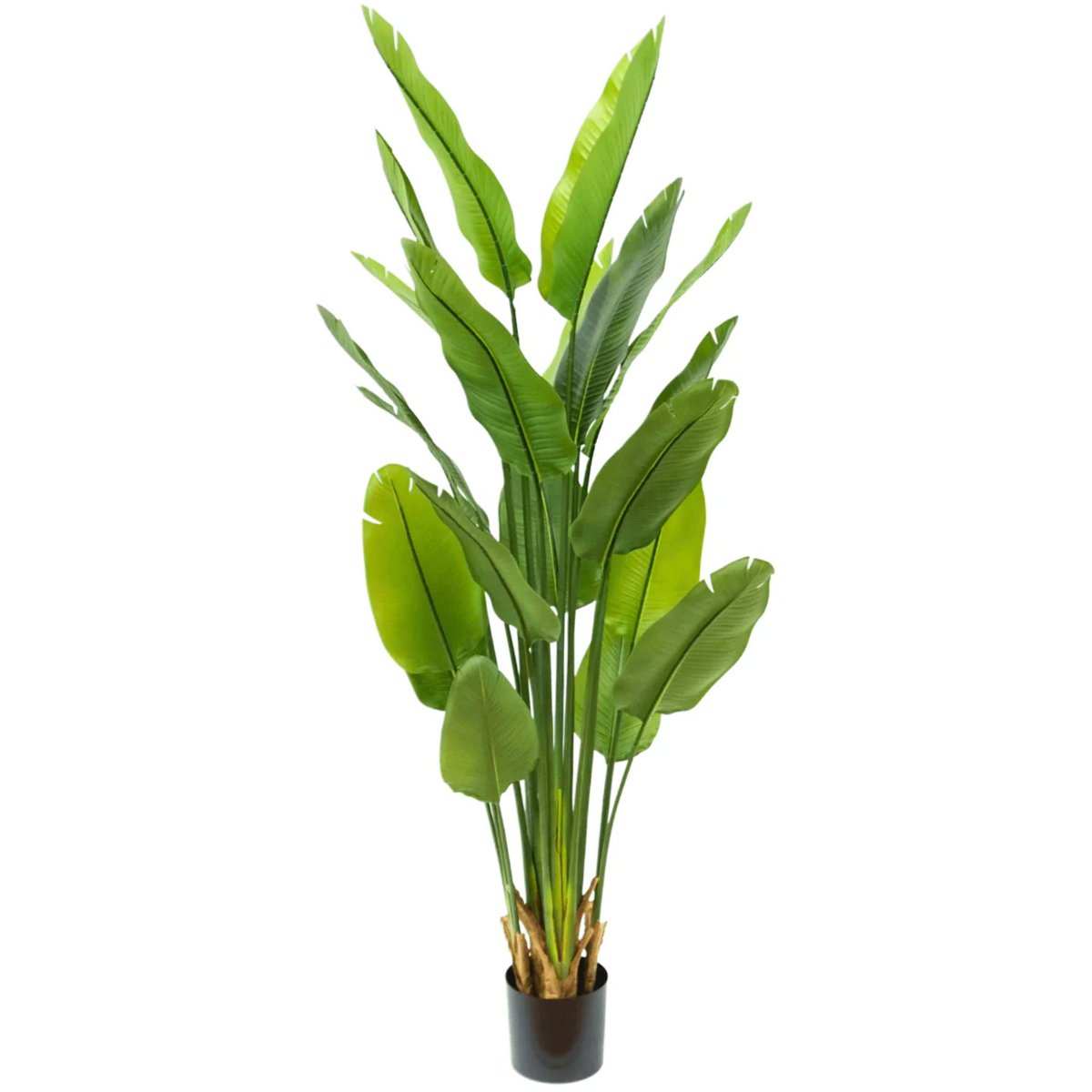 Strelitzia kunstplant van 180 cm met grote bladeren en een realistische stam, perfect voor grote ruimtes zoals een woonkamer of kantoor.