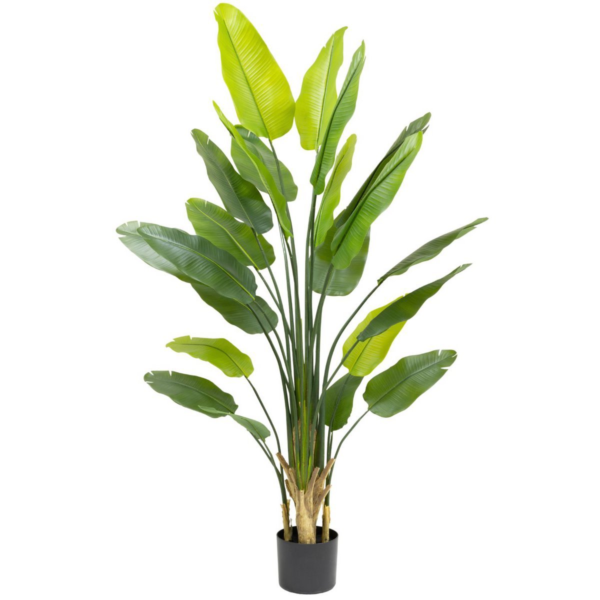 Strelitzia kunstplant van 210 cm hoog met levendige bladeren en een stijlvolle pot, ideaal voor grote ruimtes zoals een woonkamer of kantoor.