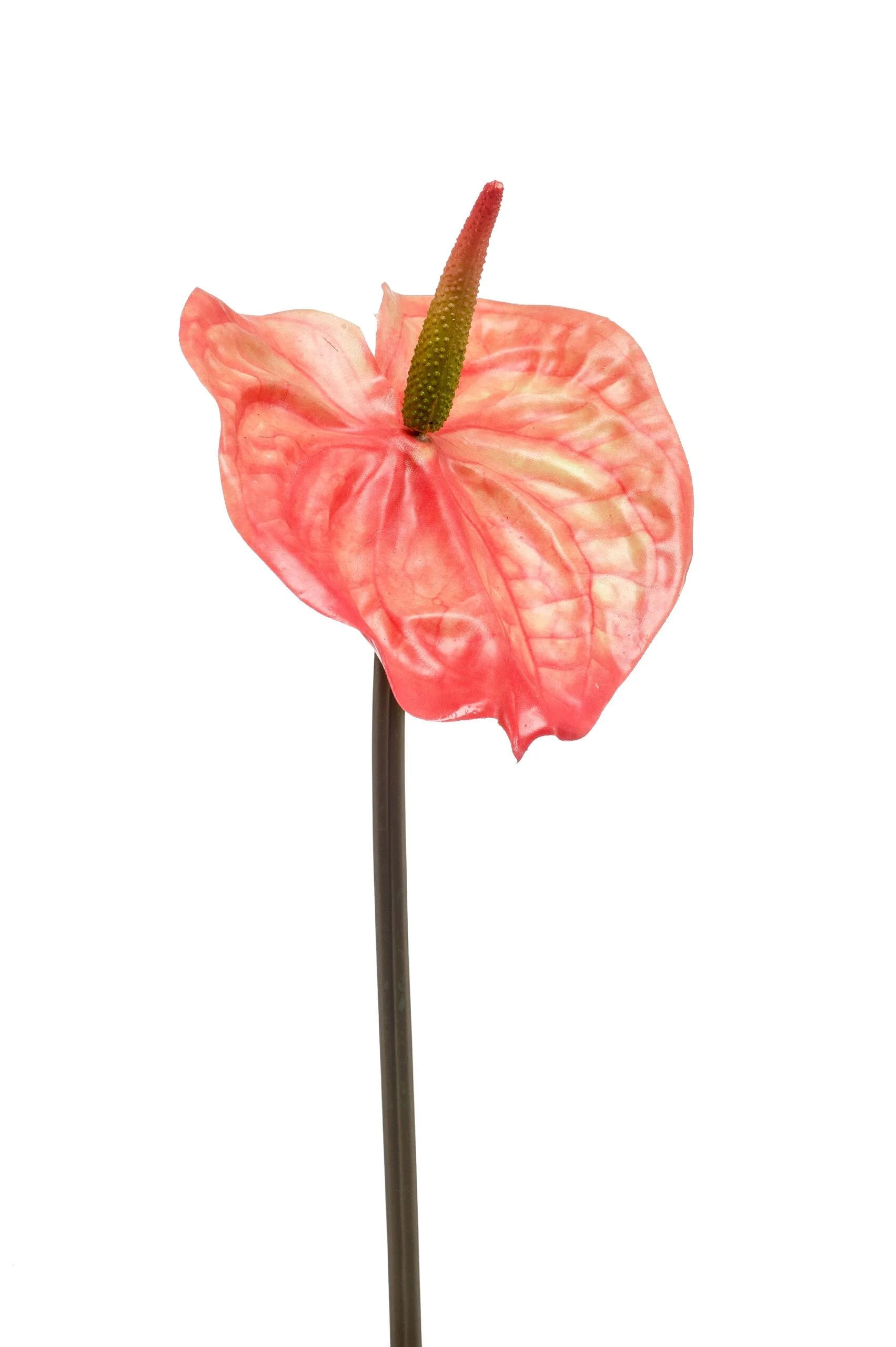 anthurium-oranje-kunstbloem-65cm-zijden-bloemen
