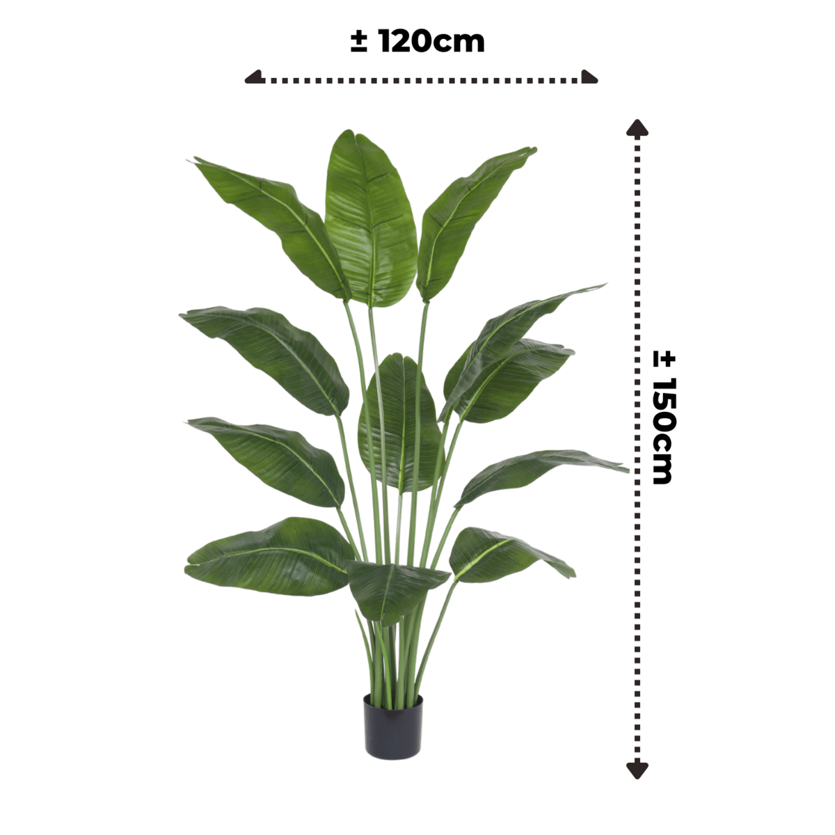 Kunst bananenplant 150 cm met 12 grote bladeren, perfect voor een tropische sfeer in je huis, kantoor of winkel.