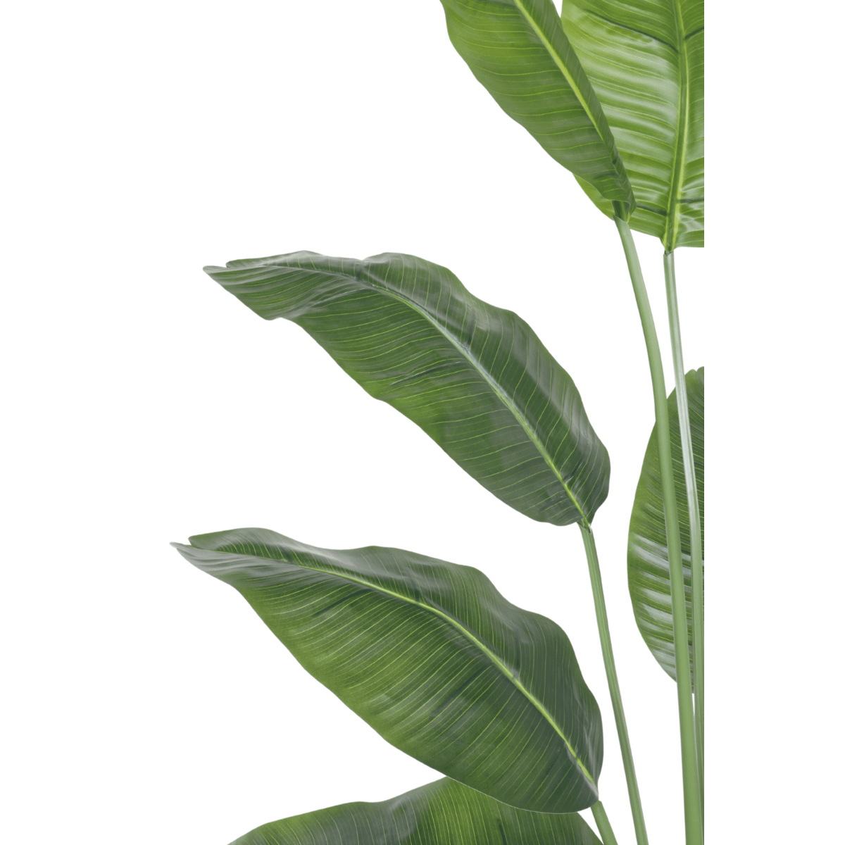 Kunst bananenplant 150 cm met 12 grote bladeren, perfect voor een tropische sfeer in je huis, kantoor of winkel.