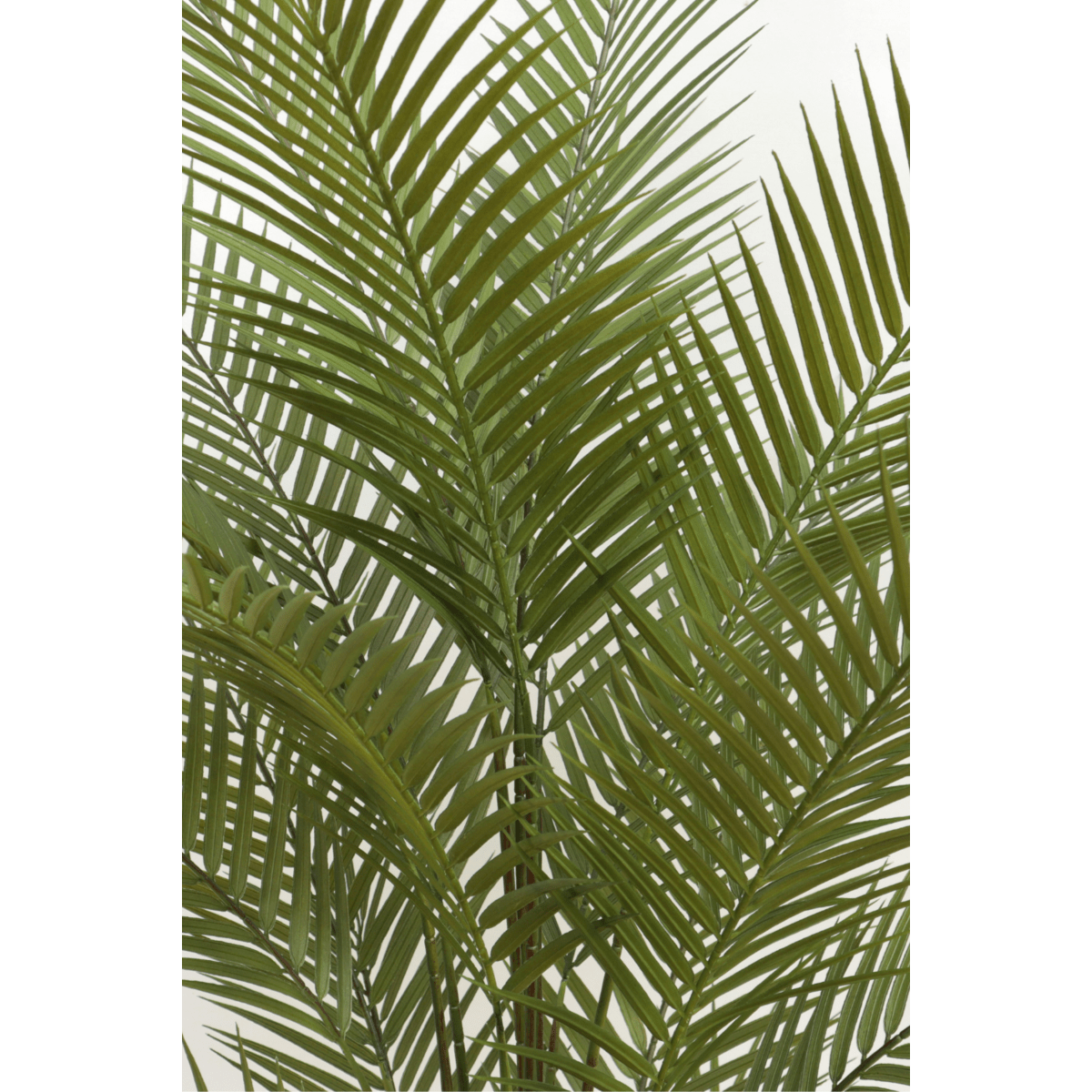 Kunstpalm 150 cm met 24 grote bladeren, perfect voor een tropische sfeer in huis of kantoor.