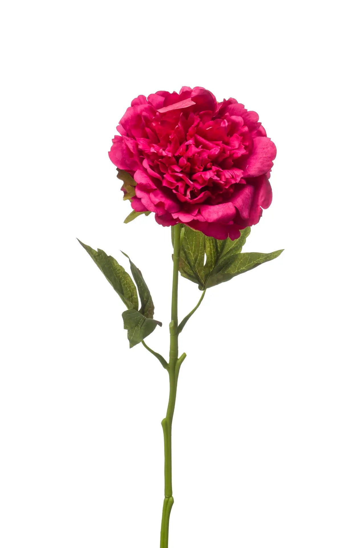 Pioen fuchsia kunstbloem 56 cm – perfect voor een kunstbloemen boeket of los in de vaas met zijden bloemen