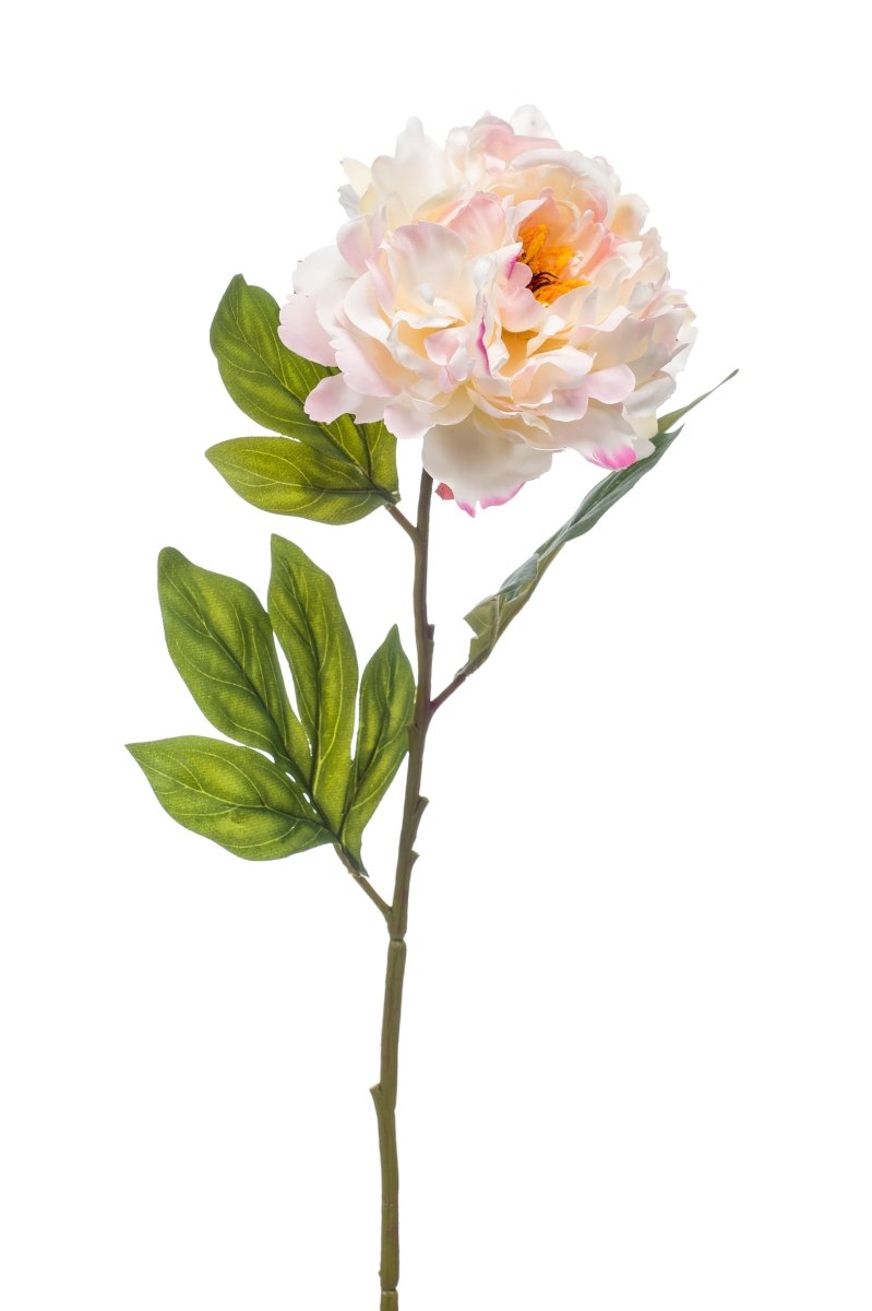 pioen creme/zacht roze kunstbloem 77 cm
