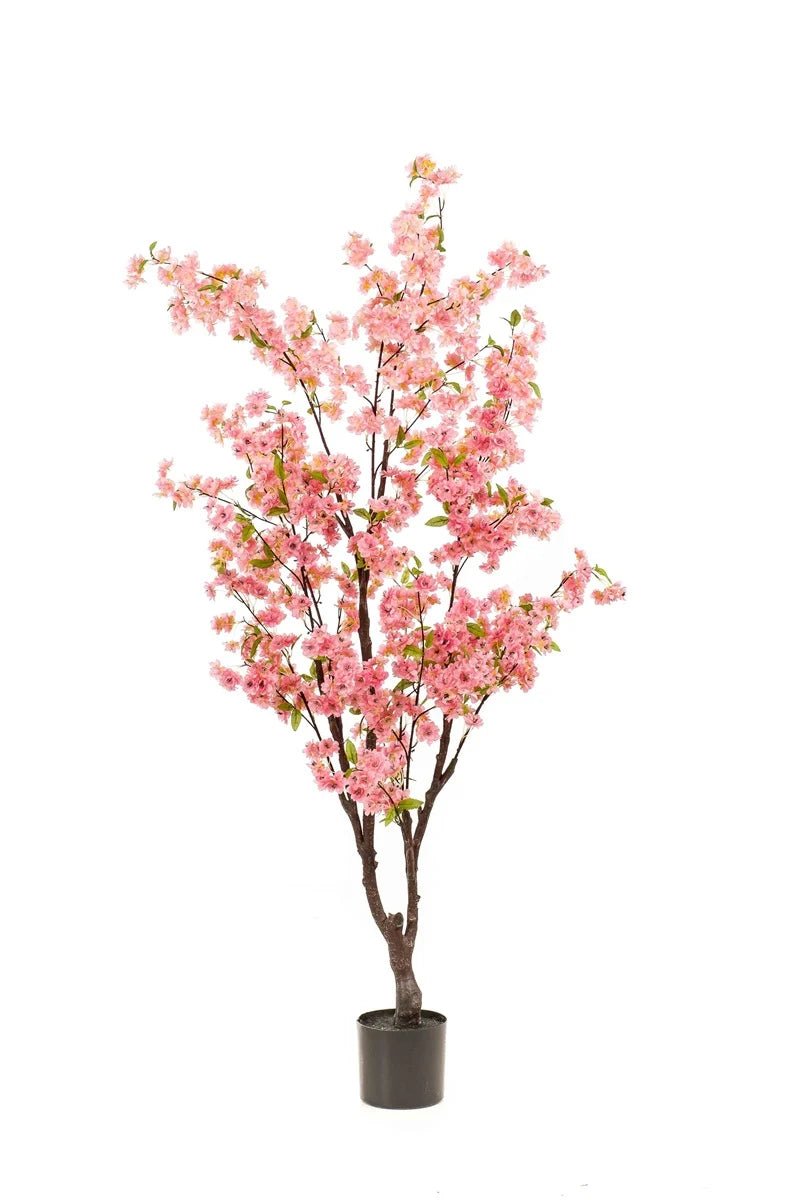 Bloesemboom 175cm