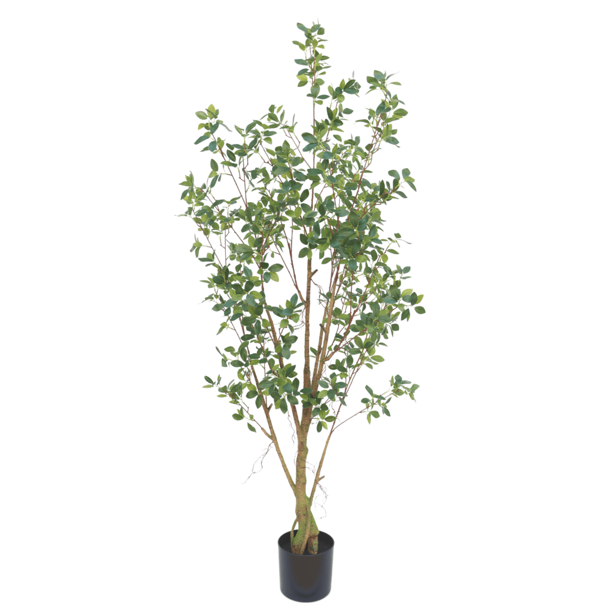 Ficus kunstplant van 180 cm hoog met slanke bladeren, ideaal voor het toevoegen van karakter aan je interieur, zoals in een woonkamer of kantoor.