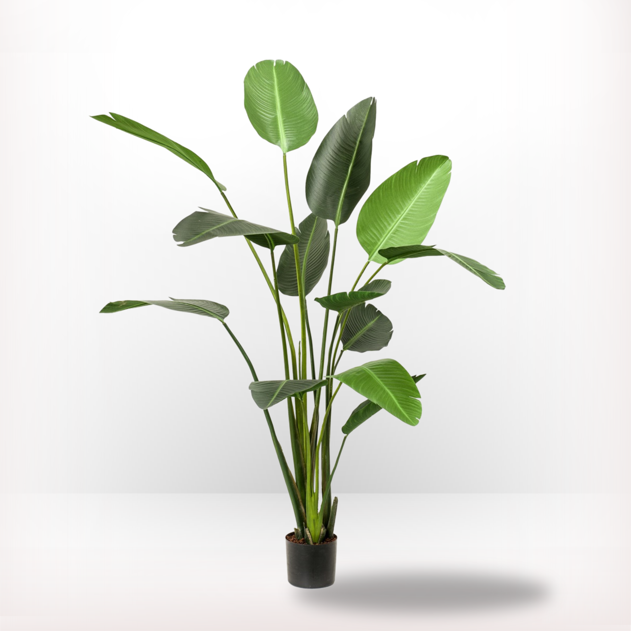 Menu afbeelding icon van de kunstplanten