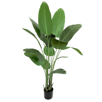 Strelitzia kunstplant van 160 cm met grote bladeren, perfect voor zowel zon- als schaduwrijke plekken in je woonkamer of kantoor.