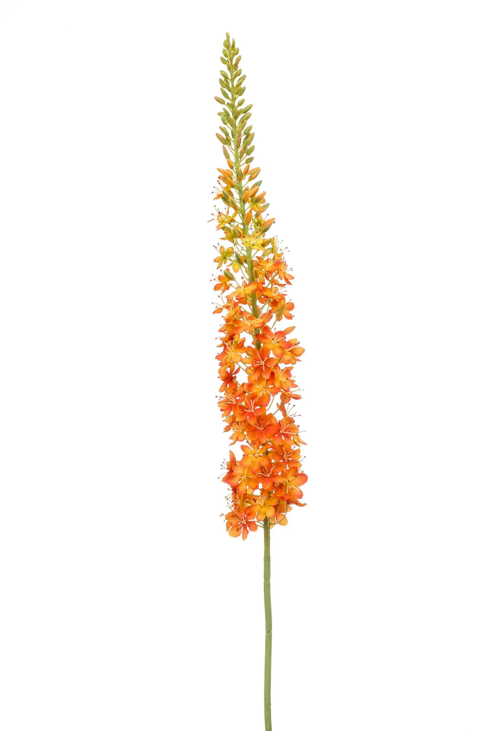 Eremurus oranje kunstbloem 130 cm – perfect voor een kunstbloemen boeket of los in de vaas met zijden bloemen.