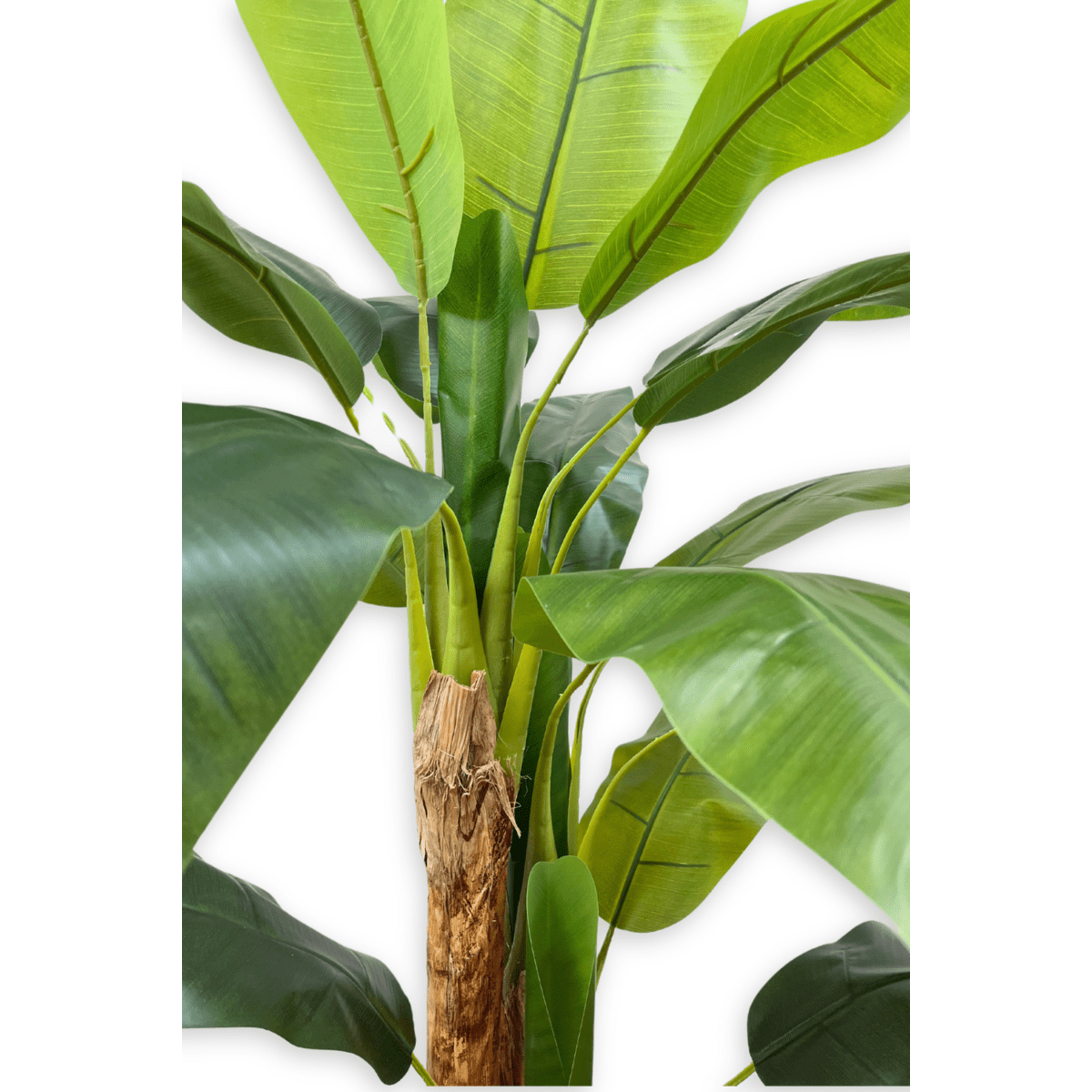 Kunst bananenplant 180 cm, perfecte nepplant voor woonkamer of kantoor, onderhoudsvrij en altijd groen.