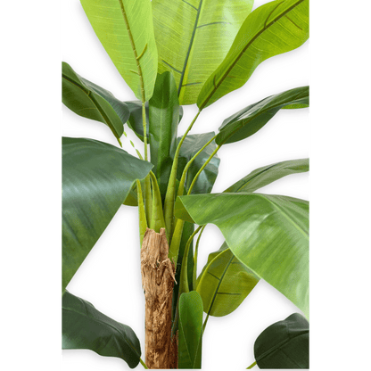 Kunst bananenplant 180 cm, perfecte nepplant voor woonkamer of kantoor, onderhoudsvrij en altijd groen.