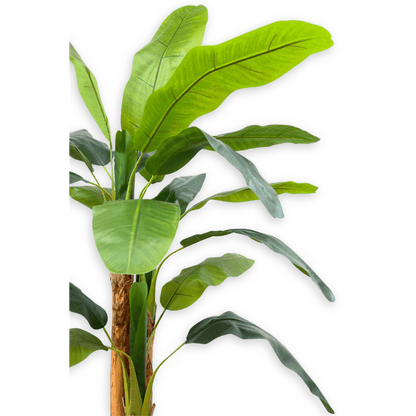 Kunst bananenplant 180 cm, perfecte nepplant voor woonkamer of kantoor, onderhoudsvrij en altijd groen.