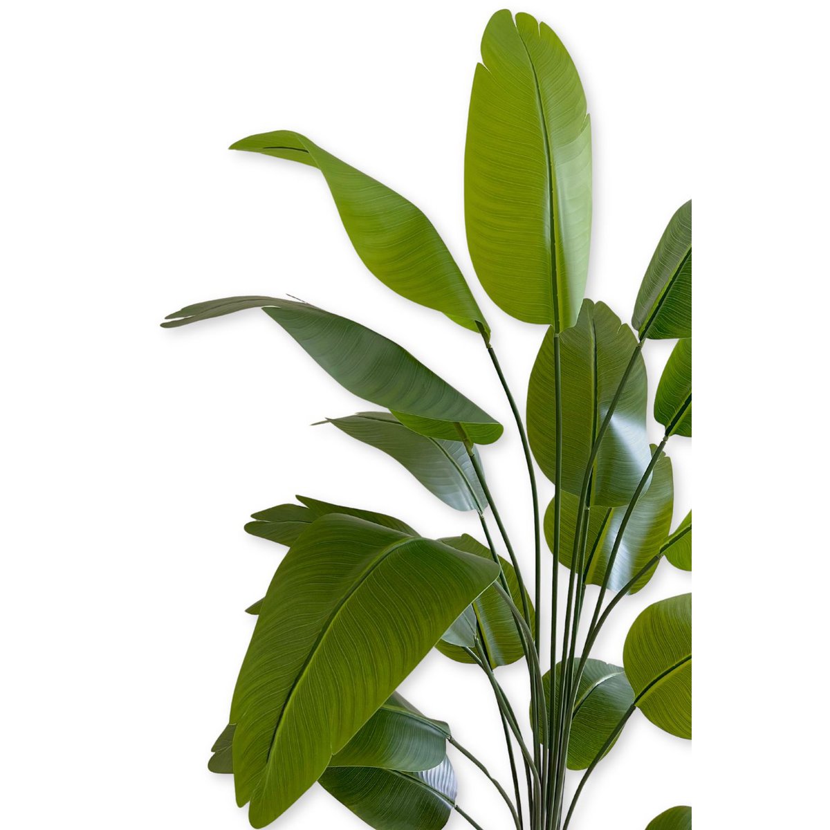 Kunst bananenplant 180 cm met grote groene bladeren, perfect voor tropische sfeer in je huis of kantoor.
