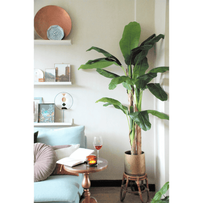 Kunst bananenplant 180 cm, perfecte nepplant voor woonkamer of kantoor, onderhoudsvrij en altijd groen.