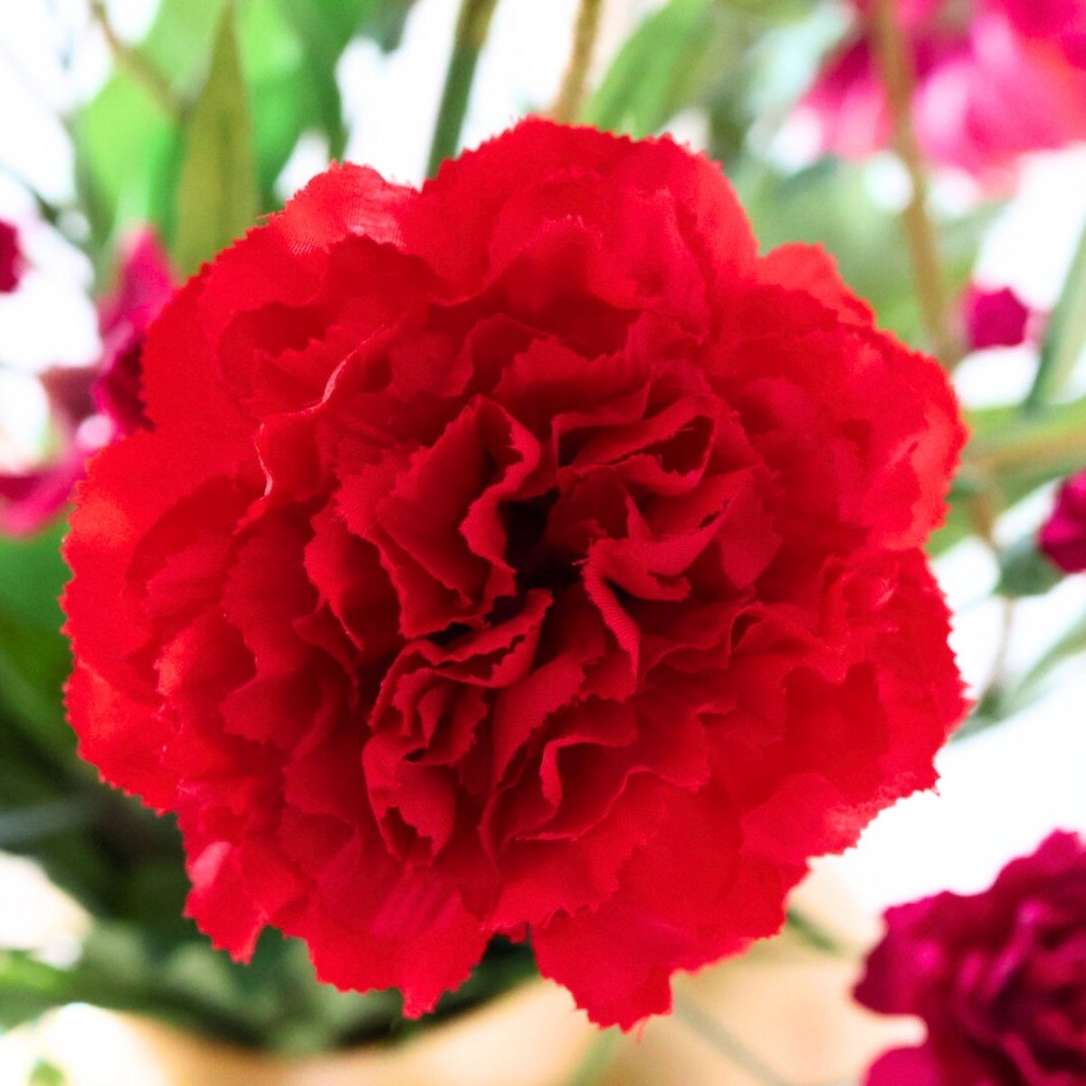 Rood roze kunstbloemen boeket met een close up foto van de rode anjer zijden bloemen