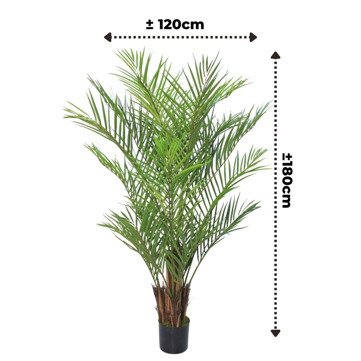 Kunstpalm 180 cm, onderhoudsvrij, altijd groen, ideaal voor huis of kantoor, hypoallergeen en volledig aanpasbaar.