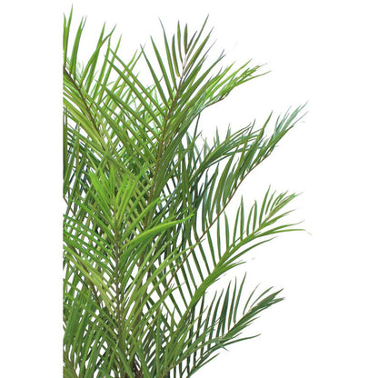Kunstpalm 180 cm, onderhoudsvrij, altijd groen, ideaal voor huis of kantoor, hypoallergeen en volledig aanpasbaar.