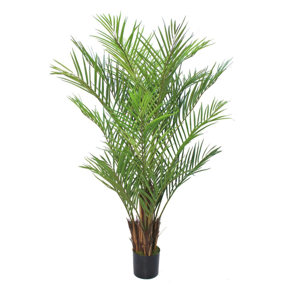 Kunstpalm 180 cm, onderhoudsvrij, altijd groen, ideaal voor huis of kantoor, hypoallergeen en volledig aanpasbaar.