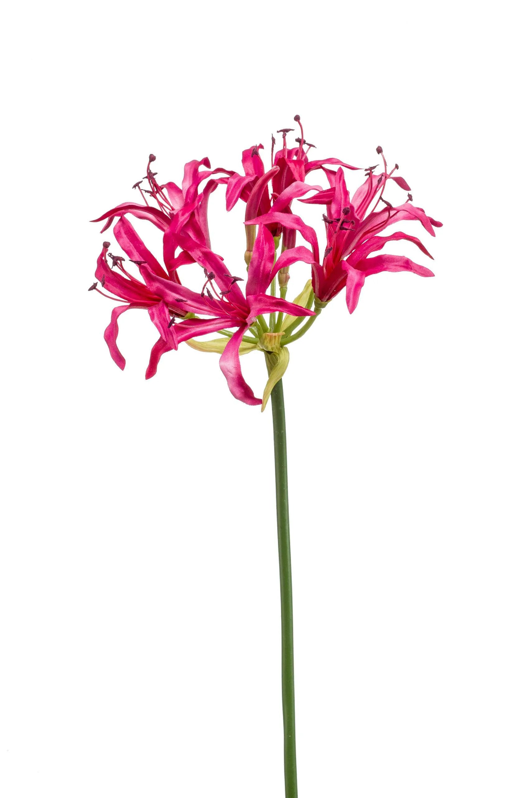 Nerine roze kunstbloem 75 cm – perfect voor een kunstbloemen boeket of los in de vaas met zijden bloemen.