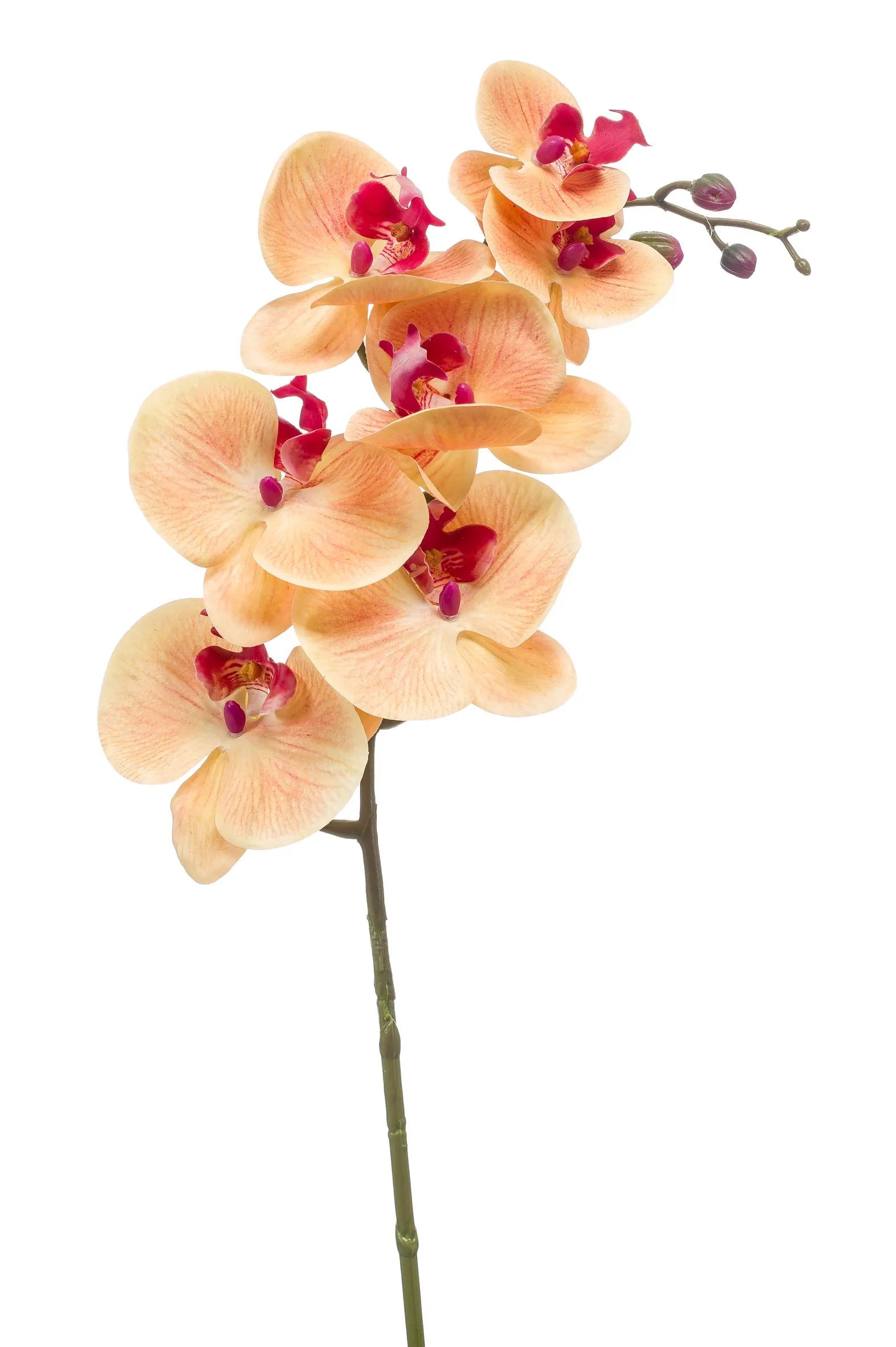 Phalaenopsis oranje kunstbloem 83 cm – perfect voor een kunstbloemen boeket of los in de vaas met zijden bloemen.