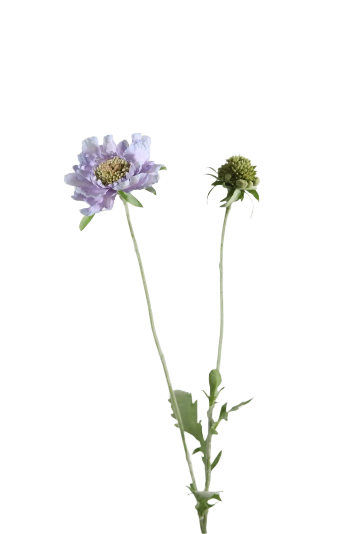 Scabiosa lila kunstbloem 71 cm – perfect voor een kunstbloemen boeket of los in de vaas met zijden bloemen.