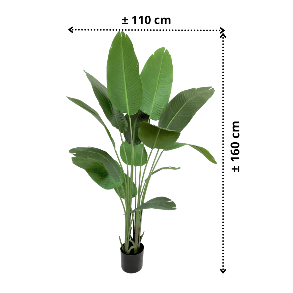 Strelitzia kunstplant van 160 cm met grote bladeren, perfect voor zowel zon- als schaduwrijke plekken in je woonkamer of kantoor.