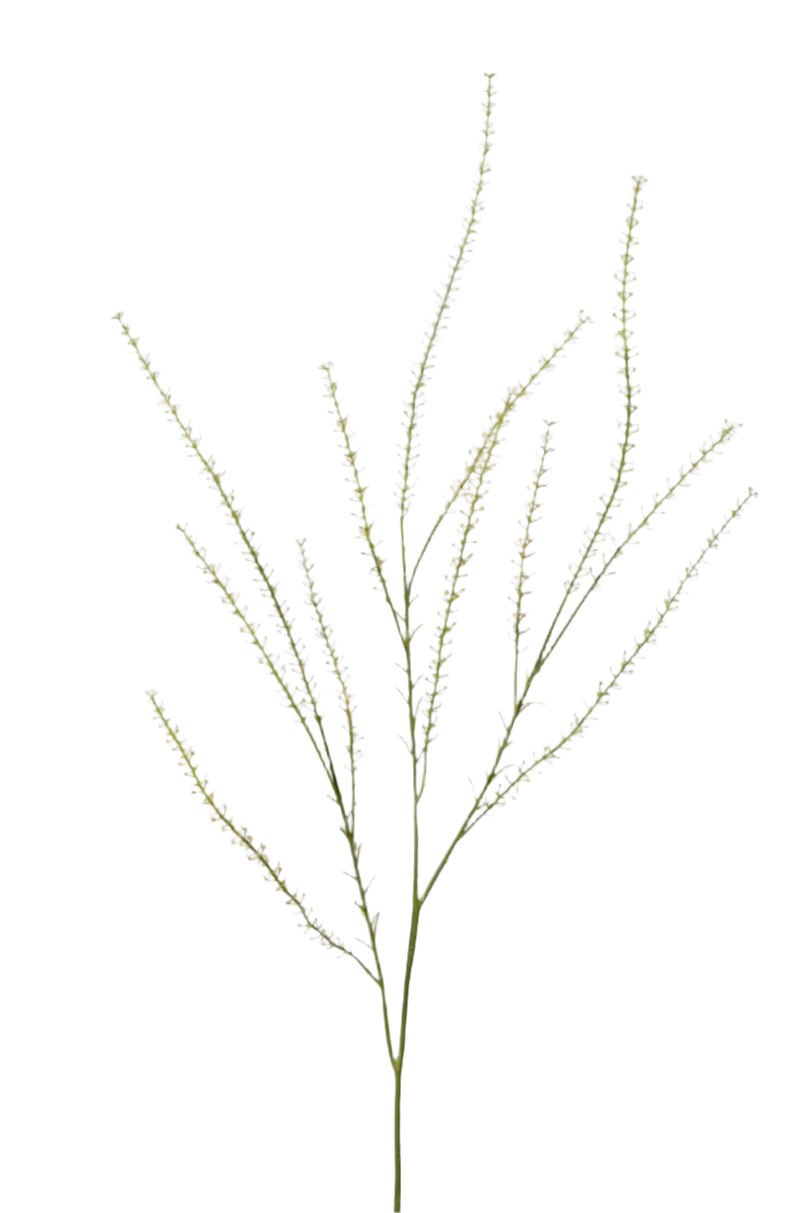 Thlaspi groene kunstbloem 85 cm – perfect voor een kunstbloemen boeket of los in de vaas met zijden bloemen.