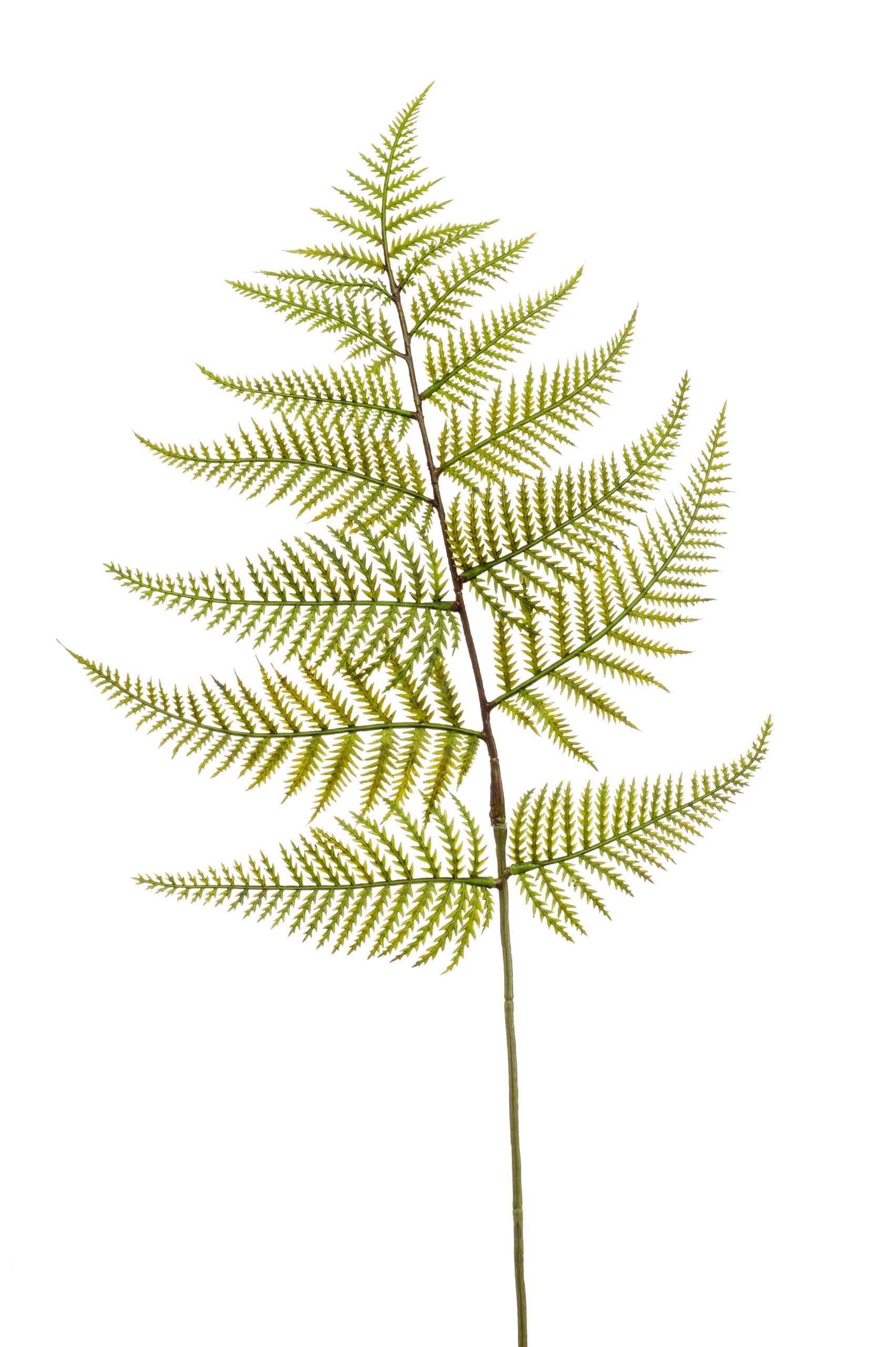 Varenblad groene kunstbloem 80 cm – perfect voor een kunstbloemen boeket of los in de vaas met zijden bloemen. 
